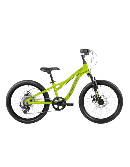 Children's bicycle ROMET Rambler FIT 20, green-blue-grey