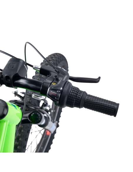 Children's bicycle S'COOL Xroc, 20" Neon Green/Ocean