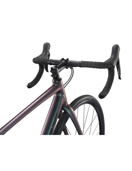Maanteeratas GIANT Contend AR 2, Dark Iridescent (M/L)