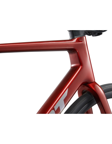 Road bike GIANT TCR Advanced 1 PC, Mars Dust (L)