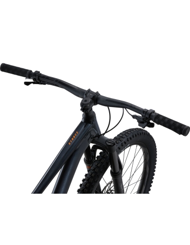 Mountain bike GIANT Stance 29 1, Metallic Black (M)