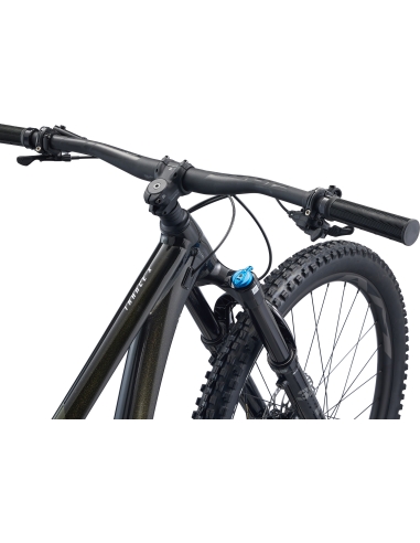 Maastopyörä GIANT Trance X 29 1, Panther (L)