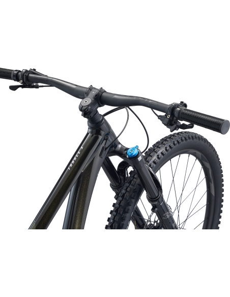 Maastikuratas GIANT Trance X 29 1, Panther (L)