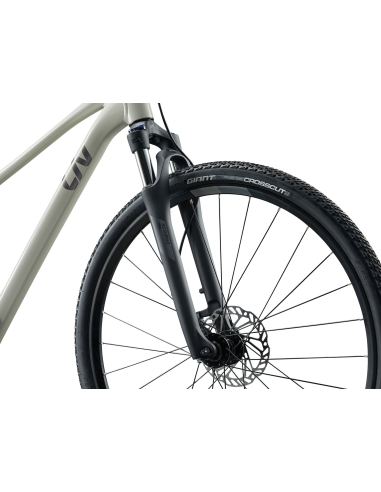 LIV Rove 3 Women's Bike, Pulp Gray (M)