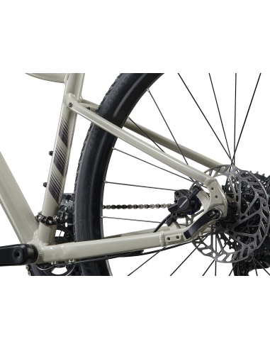 LIV Rove 3 Women's Bike, Pulp Gray (M)