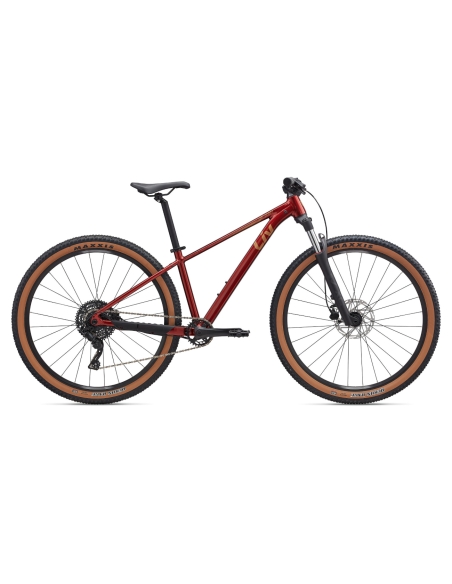 Naiste jalgratas LIV Tempt 2, 29" Mars Dust (M)