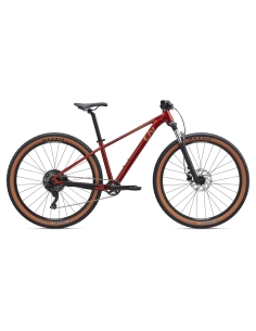 Naiste jalgratas LIV Tempt 2, 29" Mars Dust (S)