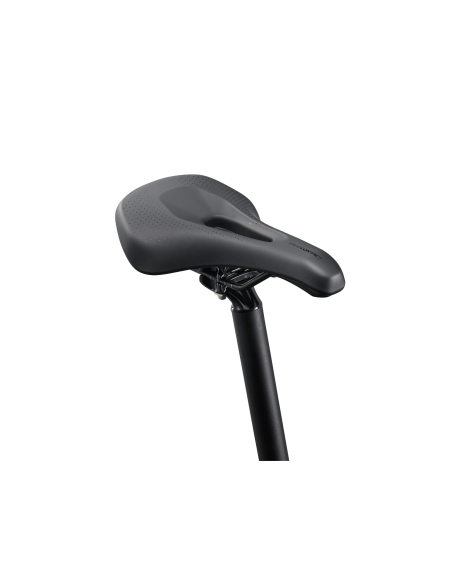 Naistenpyörä LIV Tempt 2, 29" Mars Dust (S)