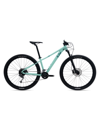 Naiste jalgratas LIV Tempt 29 2 GE 29" Ocean Wave (M)