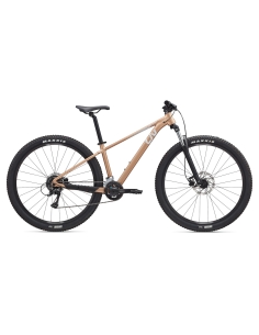 Naiste jalgratas LIV Tempt 3, 29" Golden Wheat (S)