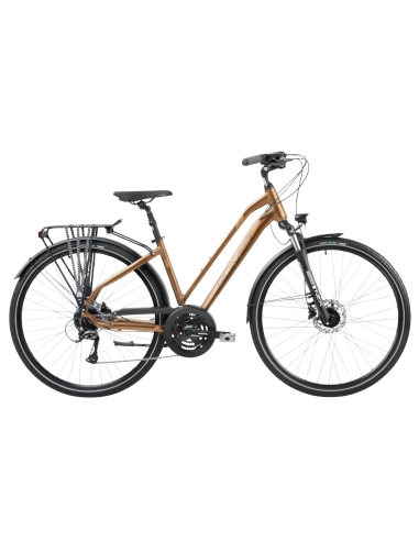 Women's bicycle ROMET Gazela 6, brown-black (L)
