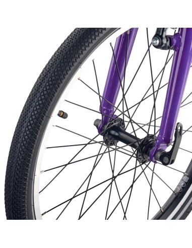 Сверхлегкий детский велосипед ACADEMY, ремень 4-го класса, 20 дюймов, фиолетовый.