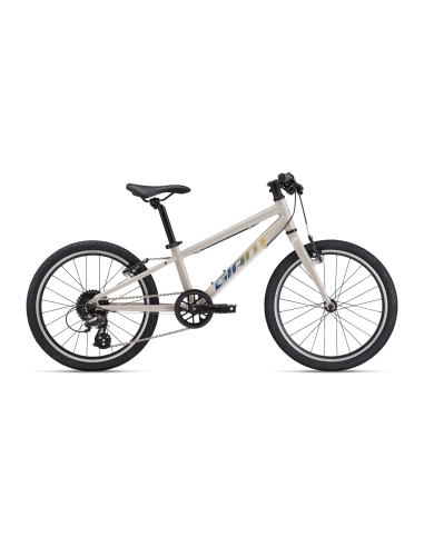 Ultralight children's bicycle GIANT ARX 20 (2025) Mushroom