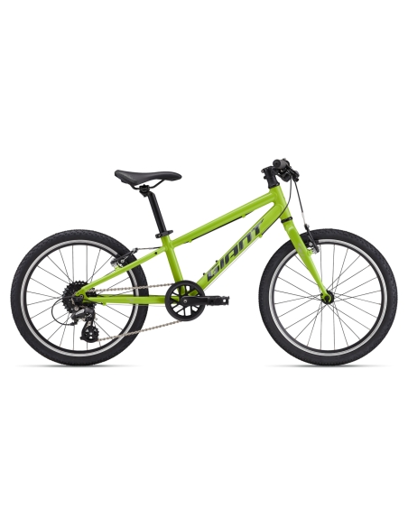 Ülikerge laste jalgratas GIANT ARX 20, Lime Punch