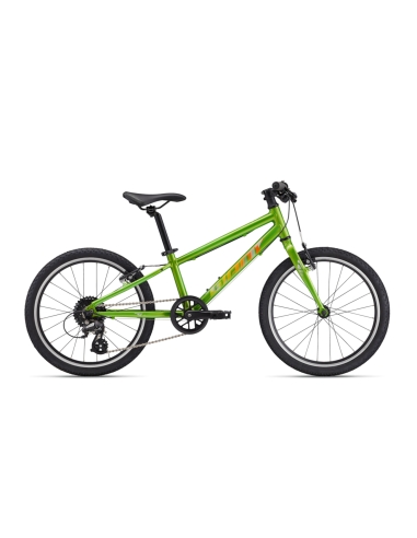 Ultralight children's bicycle GIANT ARX 20, Metallic Green