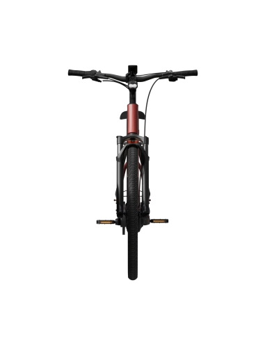 Electric bicycle TENWAYS Ago Air Belt, Velvet Red