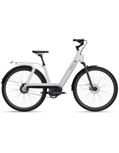 Электровелосипед TENWAYS AGO T, Pearl White
