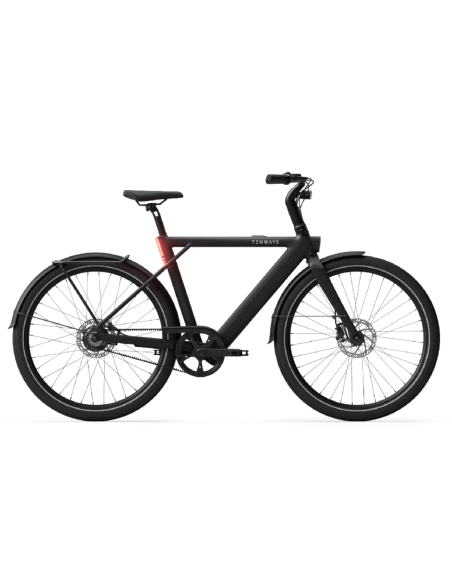 Electric bicycle TENWAYS CGO009, Midnight Black