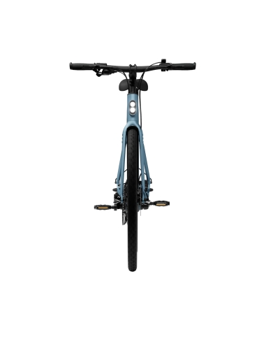 Electric bicycle TENWAYS CGO600 Plus (2025) Sky Blue (L)