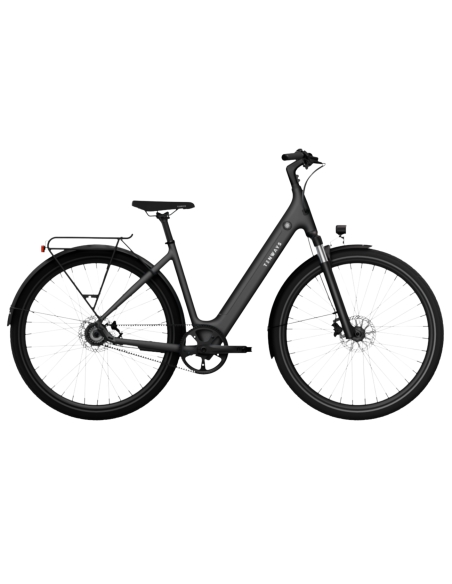 Electric bicycle TENWAYS CGO800S, Midnight Black