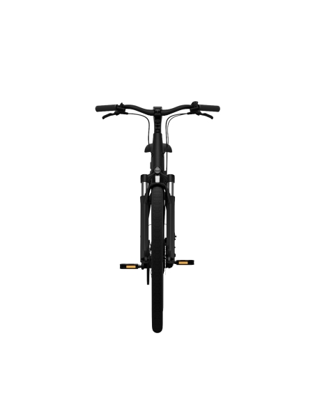 Electric bicycle TENWAYS CGO800S, Midnight Black