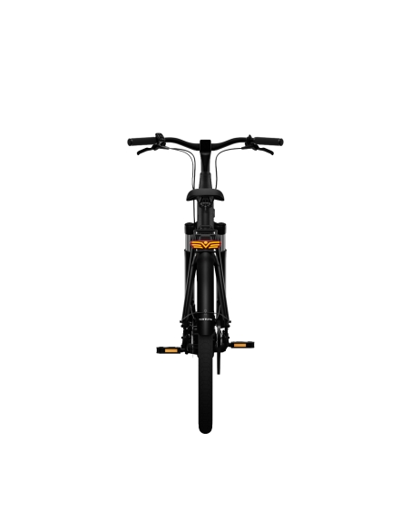 Electric bicycle TENWAYS CGO800S, Midnight Black