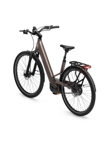 Electric bicycle TENWAYS Ago Performance, 29" Walnut Brown