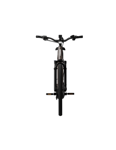 Electric bicycle TENWAYS Ago Performance, 29" Walnut Brown