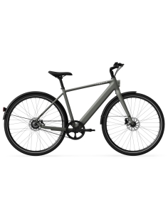 Electric bicycle TENWAYS CGO600 Pro, Willow Mist (L)