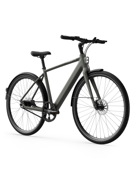 Electric bicycle TENWAYS CGO600 Pro, Willow Mist (L)