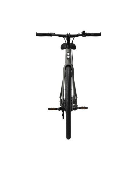 Electric bicycle TENWAYS CGO600 Pro, Willow Mist (L)