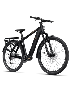 Electric bicycle TENWAYS AGO X, 29" Midnight Black (M) 2