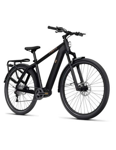 Electric bicycle TENWAYS AGO X, 29" Midnight Black (M)