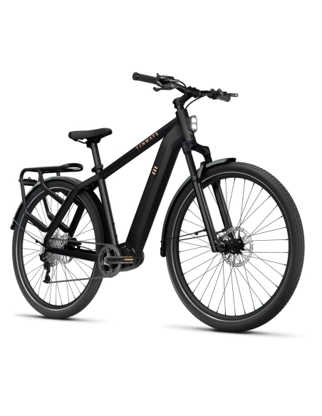 Elektrijalgratas TENWAYS AGO X, 29" Midnight Black (M)