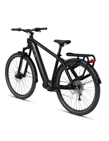 Elektrijalgratas TENWAYS AGO X, 29" Midnight Black (M)