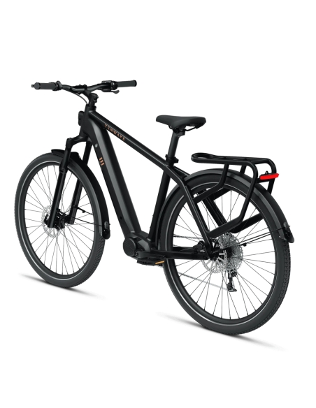 Electric bicycle TENWAYS AGO X, 29" Midnight Black (M)