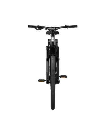 Electric bicycle TENWAYS AGO X, 29" Midnight Black (M)