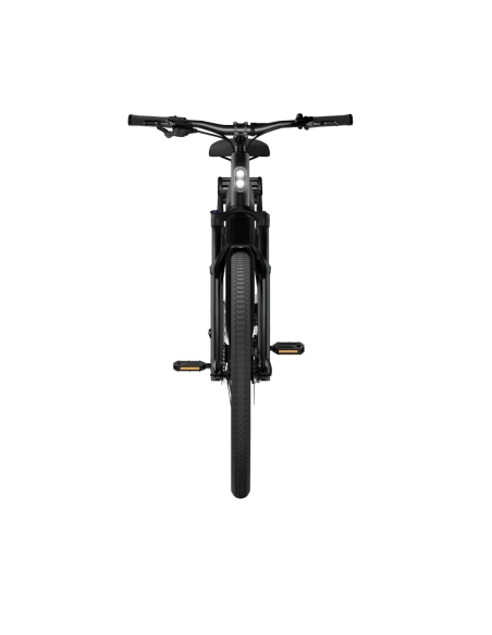Electric bicycle TENWAYS AGO X, 29" Midnight Black (M)