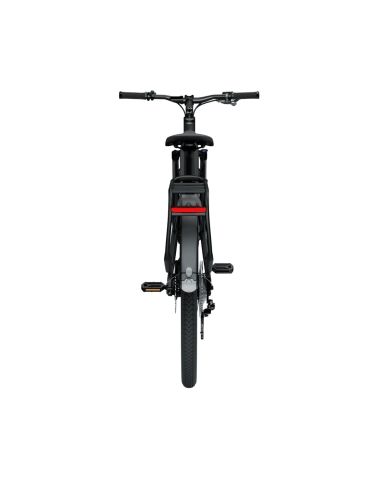 Electric bicycle TENWAYS AGO X, 29" Midnight Black (M)