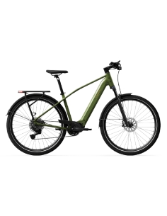 Электрический велосипед TENWAYS AGO X Special Edition, 29 дюймов, зеленый.