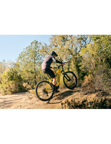 Elektrijalgratas GIANT Fathom E+ 2, 29" Sun Beam (L)