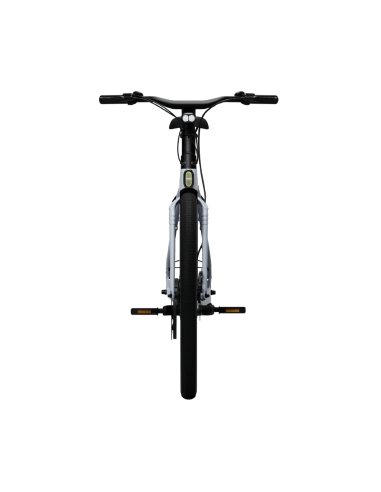 Electric bicycle TENWAYS CGO009, Ice Blue