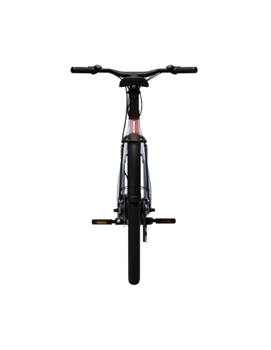 Electric bicycle TENWAYS CGO009, Ice Blue