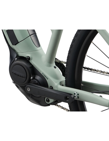 Электровелосипед LIV Rove E+, 28" Laurel, светло-зеленый (S)
