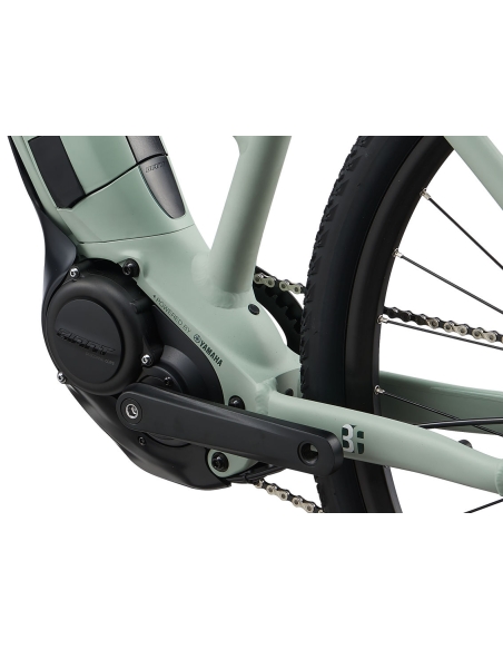 Electric bicycle LIV Rove E+, 28" Laurel, light green (S)