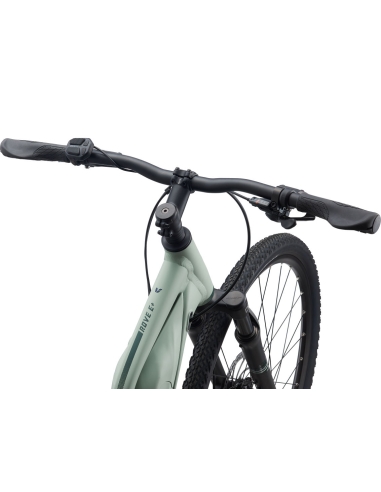 Elektrijalgratas LIV Rove E+, 28" Laurel, heleroheline (S)