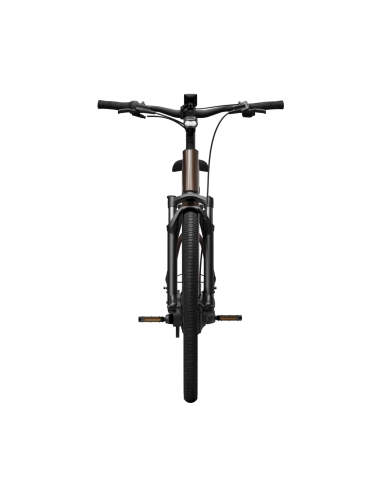 Electric bicycle TENWAYS Ago Air Belt, Walnut Brown