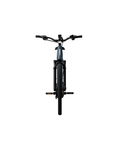 Electric bicycle TENWAYS Ago Performance, 29" Mineral Blue