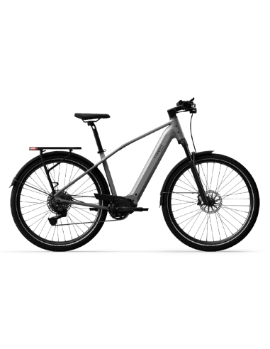 Elektrijalgratas TENWAYS AGO X Special Edition, 29" Silver