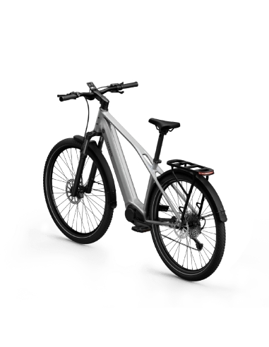 Sähköpyörä TENWAYS AGO X Special Edition, 29" hopea